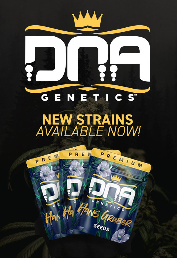 DNA Cannabis Seeds